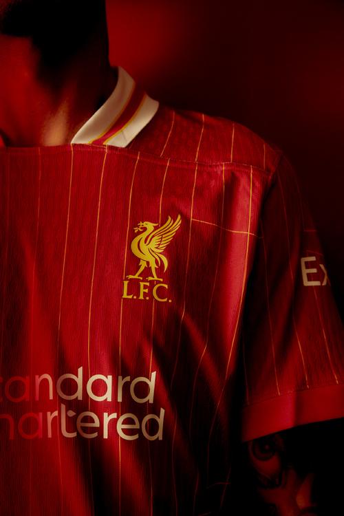 宽言宽语 宽言宽语